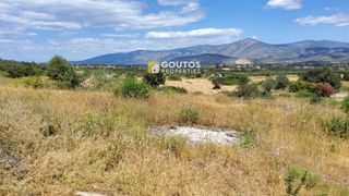 Αγροτεμάχια 5.303 τ.μ. για πώληση, Αργολίδα, Κρανίδι-thumb-5