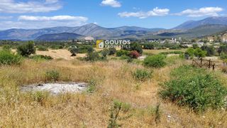 Αγροτεμάχια 5.303 τ.μ. για πώληση, Αργολίδα, Κρανίδι-thumb-3