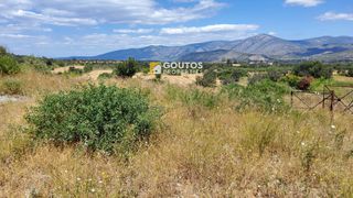 Αγροτεμάχια 5.303 τ.μ. για πώληση, Αργολίδα, Κρανίδι-thumb-6