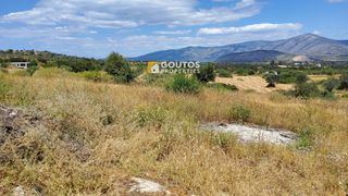 Αγροτεμάχια 5.303 τ.μ. για πώληση, Αργολίδα, Κρανίδι-thumb-12