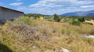 Αγροτεμάχια 5.303 τ.μ. για πώληση, Αργολίδα, Κρανίδι-thumb-9
