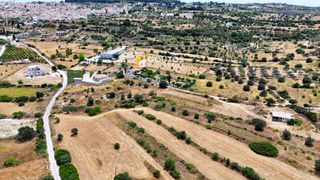 Αγροτεμάχια 5.303 τ.μ. για πώληση, Αργολίδα, Κρανίδι-thumb-27