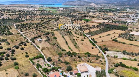 Αγροτεμάχια 5.303τ.μ. για πώληση-Κρανίδι