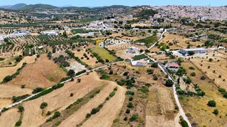 Αγροτεμάχια 5.303 τ.μ. για πώληση, Αργολίδα, Κρανίδι-thumb-28