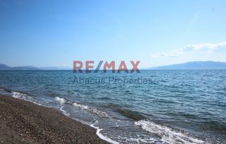 Οικόπεδο 20.459 τ.μ. προς πώληση, Καλλιθέα Αμαρύνθου-thumb-22