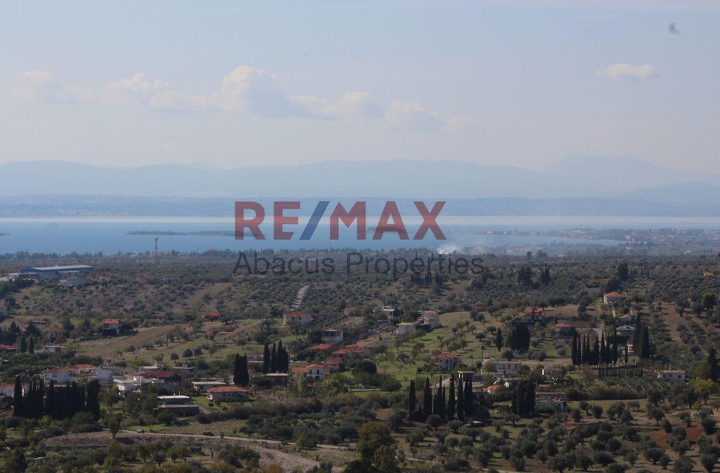 Οικόπεδο 20.459 τ.μ. προς πώληση, Καλλιθέα Αμαρύνθου