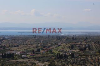 Οικόπεδο 20.459 τ.μ. προς πώληση, Καλλιθέα Αμαρύνθου-thumb-3