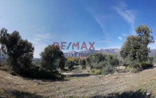 Οικόπεδο 20.459 τ.μ. προς πώληση, Καλλιθέα Αμαρύνθου-thumb-11