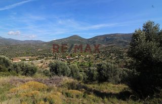 Οικόπεδο 20.459 τ.μ. προς πώληση, Καλλιθέα Αμαρύνθου-thumb-16