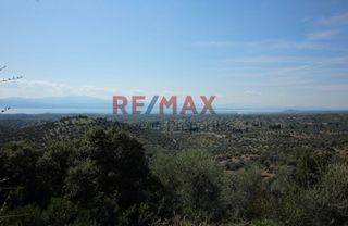 Οικόπεδο 20.459 τ.μ. προς πώληση, Καλλιθέα Αμαρύνθου-thumb-2