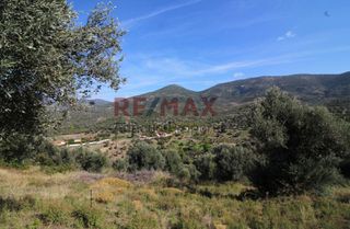 Οικόπεδο 20.459 τ.μ. προς πώληση, Καλλιθέα Αμαρύνθου-thumb-14