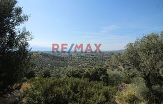 Οικόπεδο 20.459 τ.μ. προς πώληση, Καλλιθέα Αμαρύνθου-thumb-4
