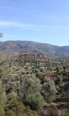 Οικόπεδο 20.459 τ.μ. προς πώληση, Καλλιθέα Αμαρύνθου-thumb-12