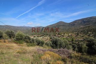 Οικόπεδο 20.459 τ.μ. προς πώληση, Καλλιθέα Αμαρύνθου-thumb-17