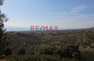 Οικόπεδο 20.459 τ.μ. προς πώληση, Καλλιθέα Αμαρύνθου-thumb-9