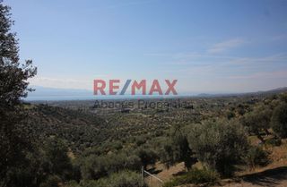 Οικόπεδο 20.459 τ.μ. προς πώληση, Καλλιθέα Αμαρύνθου-thumb-8