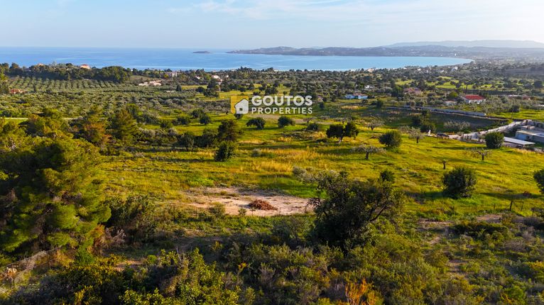 Οικόπεδο 6.000 τ.μ. για πώληση, Αργολίδα, Κρανίδι