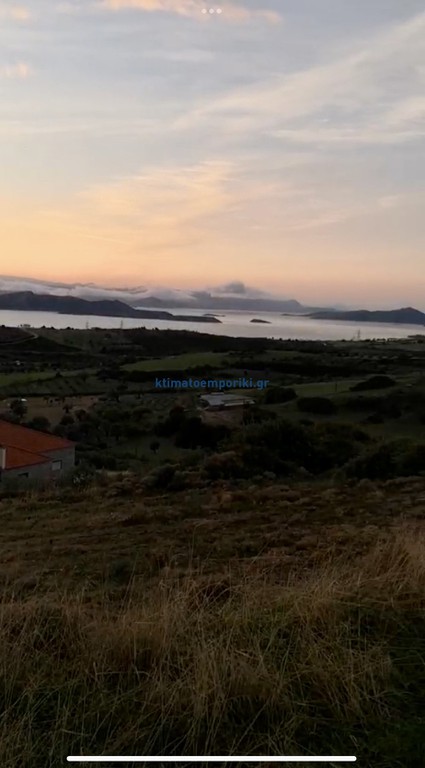 Οικόπεδο 6.324 τ.μ. για πώληση, Εύβοια, Στύρα