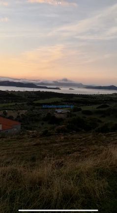 Οικόπεδο 6.324 τ.μ. για πώληση, Εύβοια, Στύρα