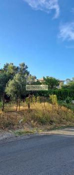 Land plot 1.230sqm for sale-Afidnes