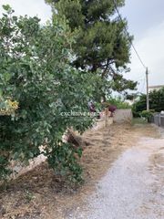 Οικόπεδο 450 τ.μ. για πώληση, Αττική - Υπόλοιπο, Ραφήνα-thumb-4