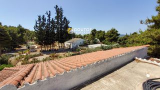 Μονοκατοικία 64 τ.μ. προς πώληση, Κινέτα Ερμιόνης-thumb-21
