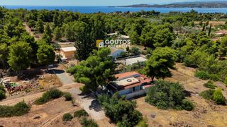Μονοκατοικία 64 τ.μ. προς πώληση, Κινέτα Ερμιόνης-thumb-28