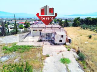Κατάστημα 377,91 τ.μ. για ενοικίαση