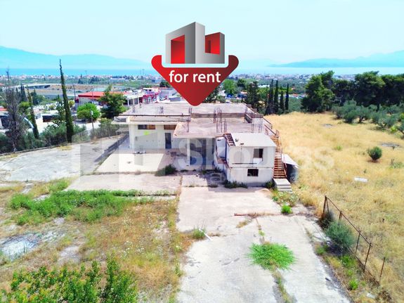 Store 377,91 sqm for rent, Corinthia, Sikiona