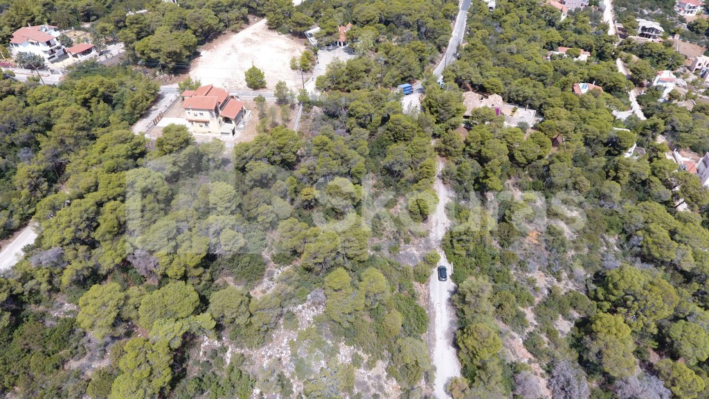 Οικόπεδο 1.001 τ.μ. προς πώληση, Πευκάλι