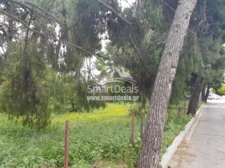 Οικόπεδο 835 τ.μ. για πώληση