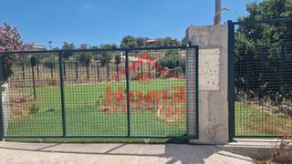 Οικόπεδο 440 τ.μ. για πώληση, Αττική - Υπόλοιπο, Ωρωπός-thumb-8