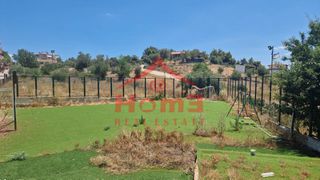 Οικόπεδο 440 τ.μ. για πώληση, Αττική - Υπόλοιπο, Ωρωπός-thumb-4