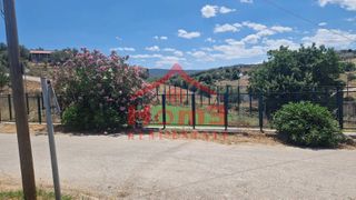 Οικόπεδο 440 τ.μ. για πώληση, Αττική - Υπόλοιπο, Ωρωπός-thumb-7