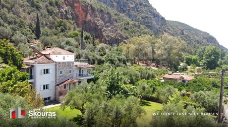 Μονοκατοικία 380τ.μ. για πώληση-Αρφαρά