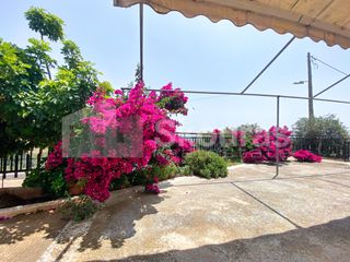 Μονοκατοικία 80 τ.μ. για πώληση, Αργολίδα, Μυκήνες-thumb-3