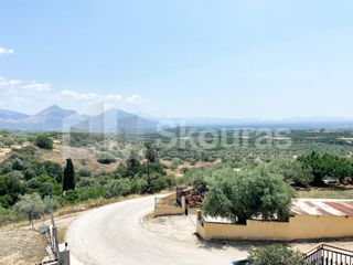 Μονοκατοικία 80 τ.μ. για πώληση, Αργολίδα, Μυκήνες-thumb-19