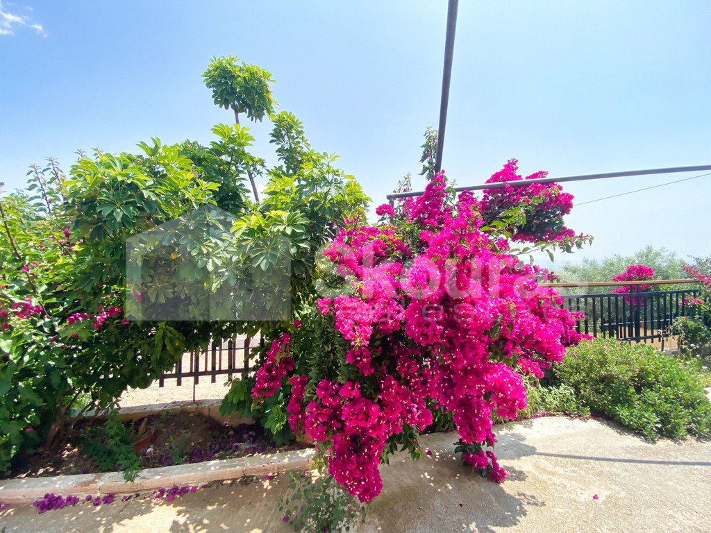 Detached home 80 sqm for sale, Mycenae
