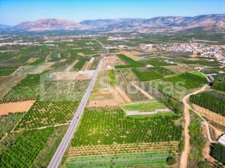 Αγροτεμάχια 7.000 τ.μ. για πώληση, Αργολίδα, Μιδέα-thumb-9