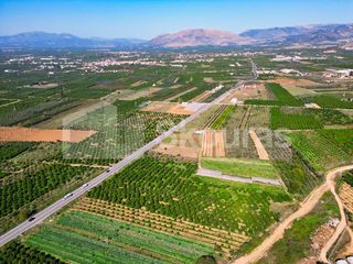 Αγροτεμάχια 7.000 τ.μ. για πώληση, Αργολίδα, Μιδέα-thumb-16