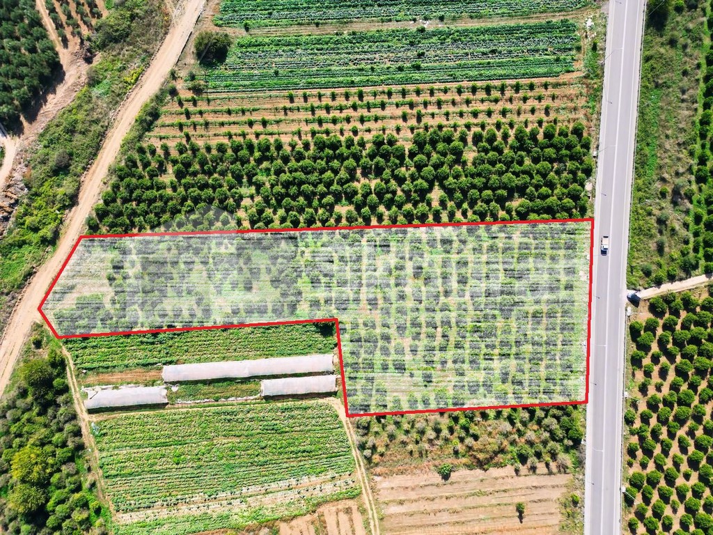 Αγροτεμάχια 7.000 τ.μ. προς πώληση, Παναρίτης
