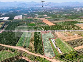 Αγροτεμάχια 7.000 τ.μ. για πώληση, Αργολίδα, Μιδέα-thumb-15