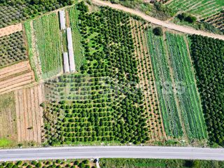Αγροτεμάχια 7.000 τ.μ. για πώληση, Αργολίδα, Μιδέα-thumb-18