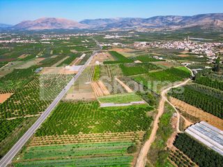 Αγροτεμάχια 7.000 τ.μ. για πώληση, Αργολίδα, Μιδέα-thumb-17