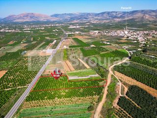Αγροτεμάχια 7.000 τ.μ. για πώληση, Αργολίδα, Μιδέα-thumb-10