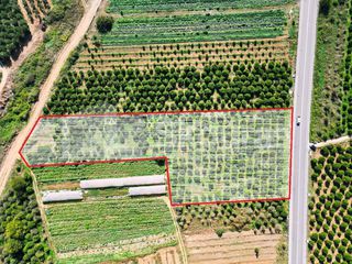 Αγροτεμάχια 7.000 τ.μ. για πώληση, Αργολίδα, Μιδέα-thumb-12