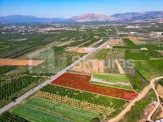 Αγροτεμάχια 7.000 τ.μ. για πώληση, Αργολίδα, Μιδέα-thumb-6