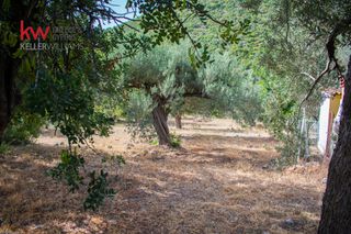 Οικόπεδο 2.035 τ.μ. για πώληση, Αρκαδία, Απόλλωνας-thumb-10