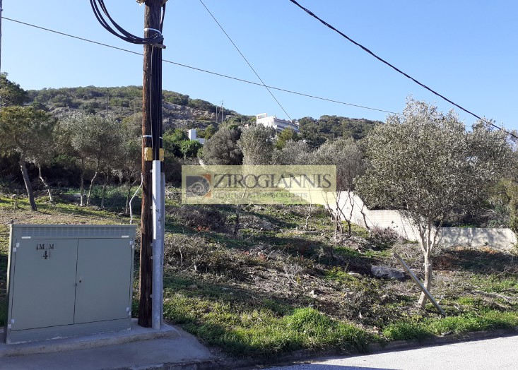 Οικόπεδο 1.235 τ.μ. προς πώληση, Βραυρώνα Μαρκοπούλου