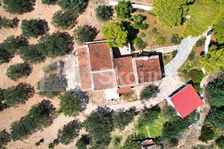 Μονοκατοικία 167 τ.μ. για πώληση, Αργολίδα, Κρανίδι-thumb-2